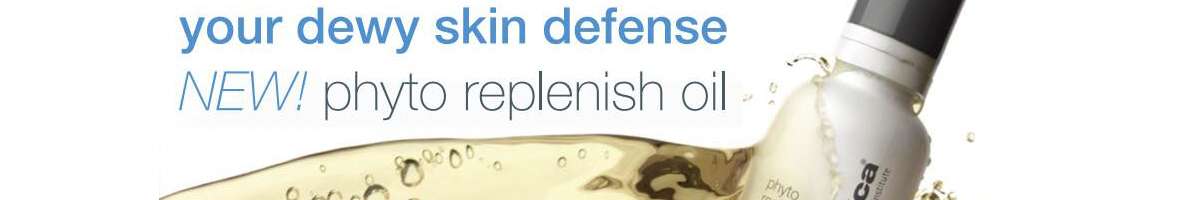 Connie's Beauty Spot Banner