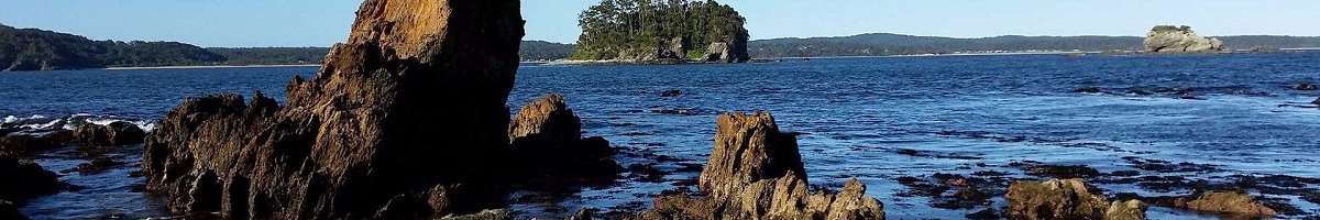 Abel Tasman Motel Banner