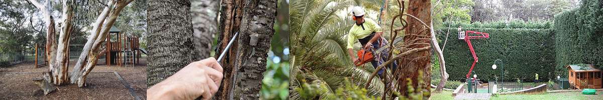 Priority Tree Services Banner