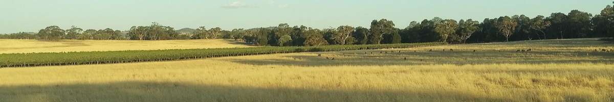 Riverside Farm Banner