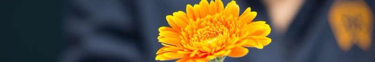 Your New Dentist Banner