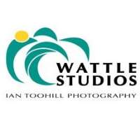 Wattle Studios Logo