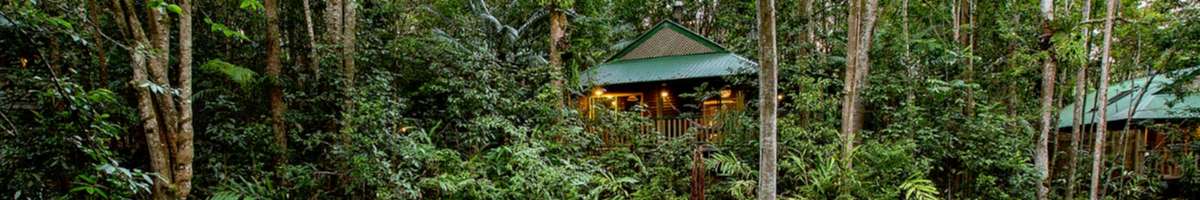 Narrows Escape Rainforest Retreat Banner