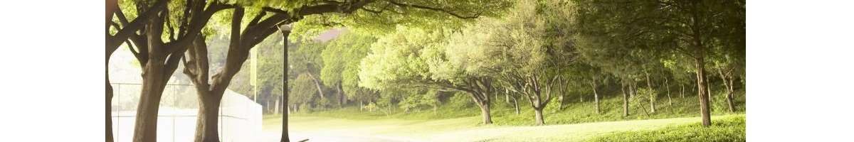 MTS Tree Service Pty Ltd Banner