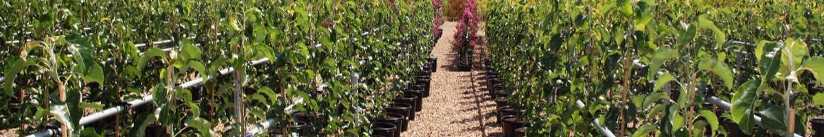 GetGreen AUS Banner