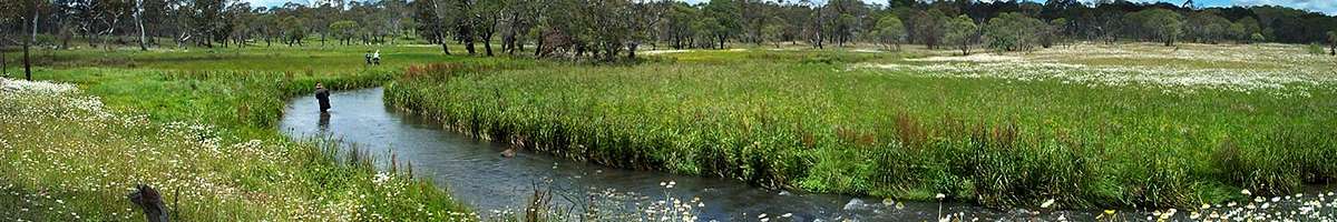 Armidale Pines Motel Banner