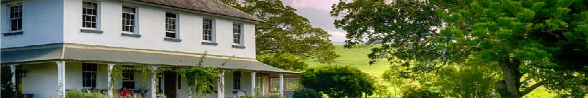 Terragong 1858 Banner