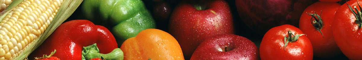 Nourish Tasmania Banner