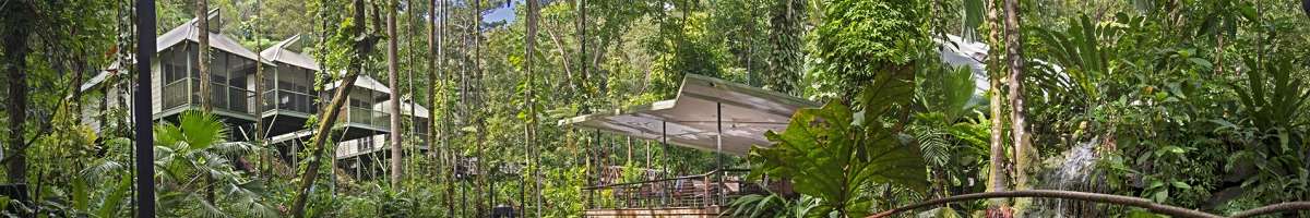 Daintree Eco Lodge & Spa Banner