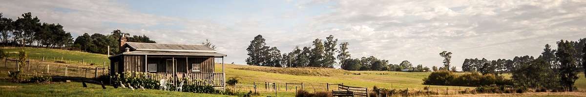 Wines For Joanie Cottage Banner