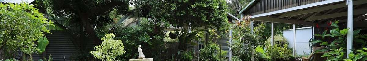 Jacaranda Guest House Banner