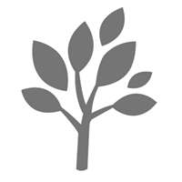 Paperbark Bed & Breakfast Logo