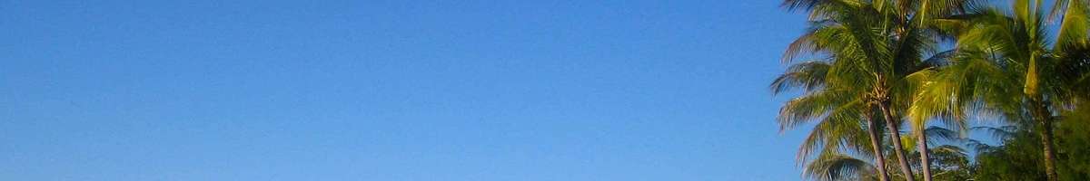 Sanctuary Palm Cove Banner