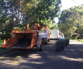 At Your Tree Service