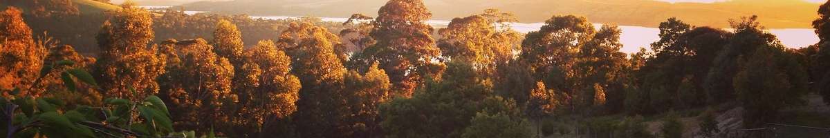 Arjuna Ridge Bed and Breakfast Banner