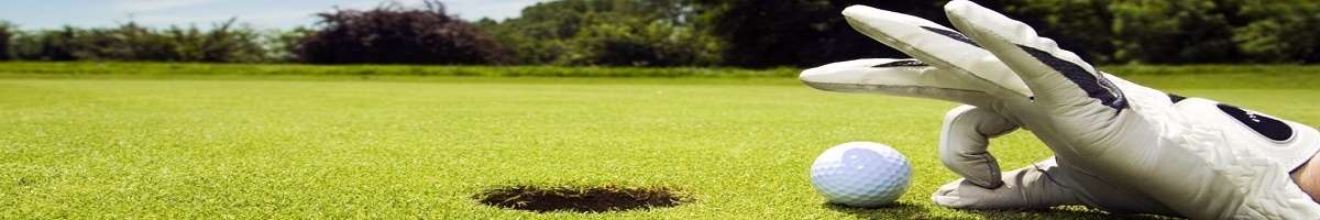 Pitt Town and District Sports Club Banner