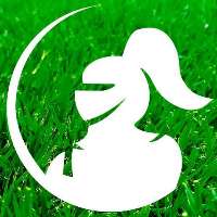 Lawn Solutions Australia Logo