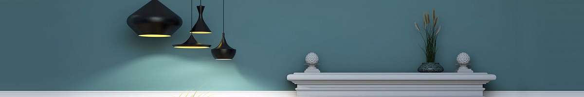 RG Bull Lighting Banner