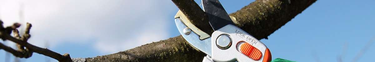 Charlies Tree Lopping Services Banner