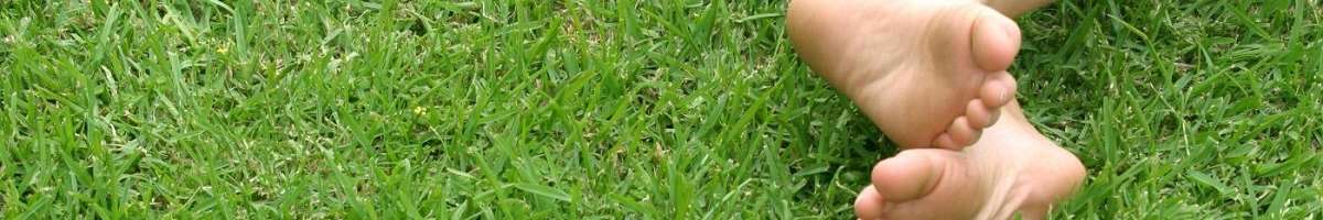 Sir Walter Buffalo Lawn Banner
