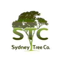 Sydney Tree Company Logo