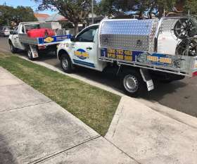 Knock-Down Pest Control