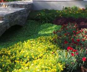 CK Landscape Designs