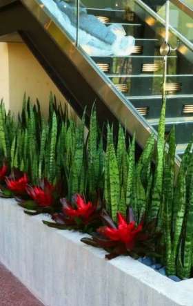 CK Landscape Designs
