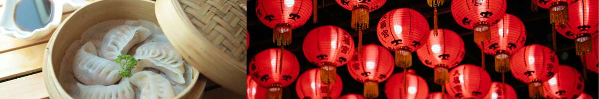 Yum Shanghai Dumplings Banner