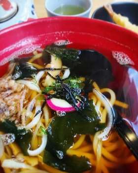 Tempura Udon | Kaisen Japanese Restaurant, Paddington, Australia