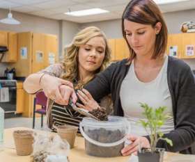 My OT Crew Best Occupational Therapy