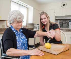 My OT Crew Occupational Therapy