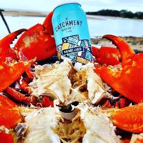 The Catchment Brewing Co