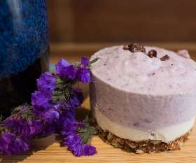 Los Vegos Coolangatta