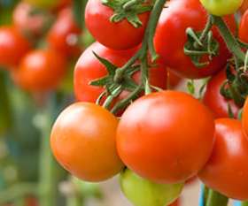 McDonald's Thornleigh