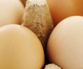 McDonald's Thornleigh