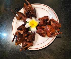 Burung dara goreng garing - Bali Nikmat