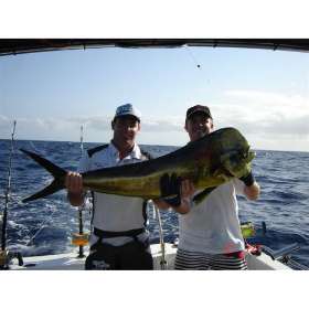 Game Fishing Charters at Main Beach - Gold Coast | Gold Coast Fishing Charters