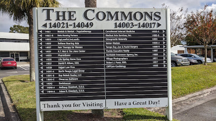 Military Divorces Tampa Logo