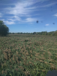 Mi-Tech Services Banner