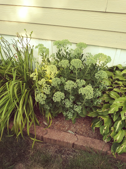 Western Village Logo