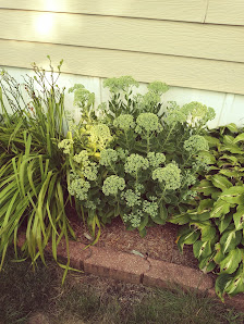 Western Village Banner