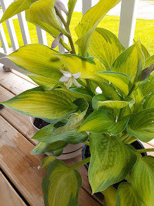 Canterbury Estates Banner