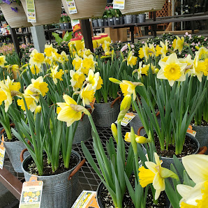 Lowe's Garden Center Banner