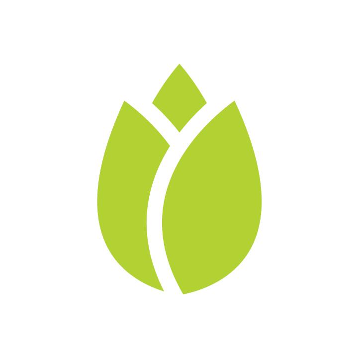 Green Tulip Design Logo