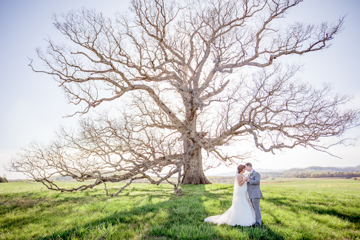 Melissa Diane Photography Banner