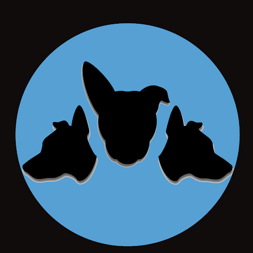 Cerberus Digital Media Logo