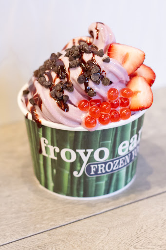 Froyo Earth Banner