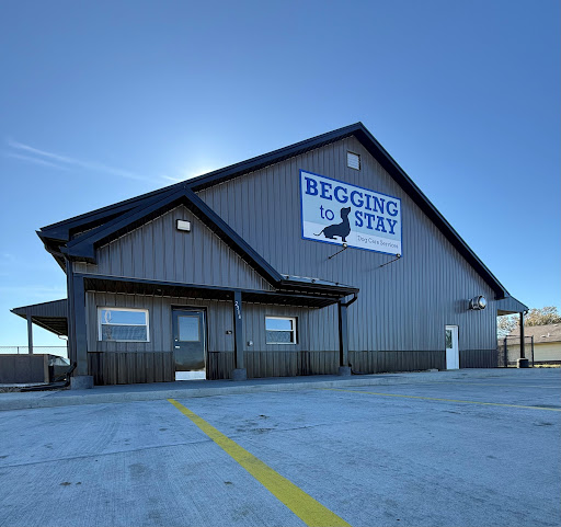 Begging to Stay Banner