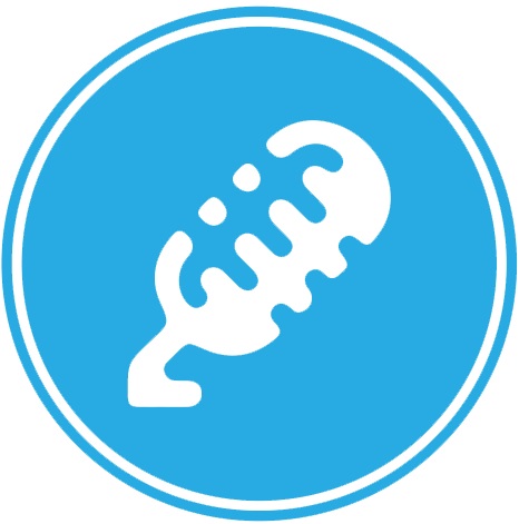 TR Music & Voice Lessons Logo